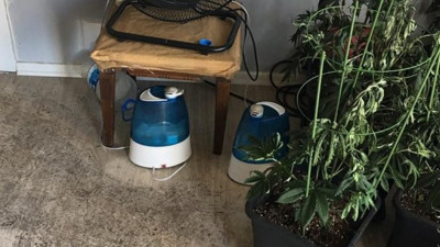 Yangın çıkan evde Hint keneviri yetiştirme düzeneği bulundu