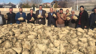 "Pancar üreticisi perişan"