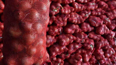 Amasya'da depolarda soğan kalmadı