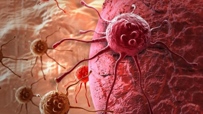 Kanserin DNA'daki parmak izini arıyorlar