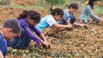 CHP'li Ağbaba: Türkiye'de kayıt dışı 600 bin çocuk işçi var