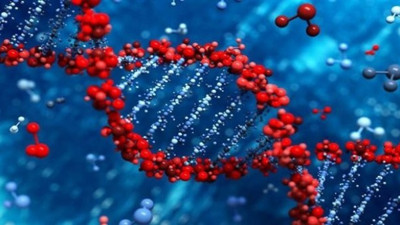 "Kansersiz bir dünya hiç olmamış ve hiç olmayacak"