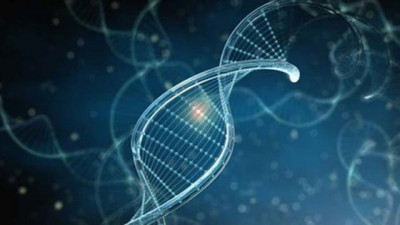 Meksika kıyılarında yeni bir yaşam türüne rastlandı