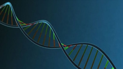İnsan DNA'sının müziği notalara döküldü