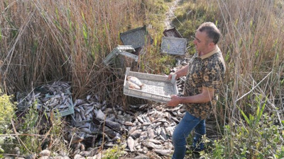 İznik'te 1 ton balığı piknik alanına atıp kaçtılar
