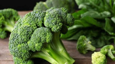 Brokolinin kanseri önleyici bir özelliği daha keşfedildi