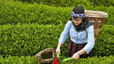 Sarıbal: "Ülke kaçak çay cennetine dönüşmüş"