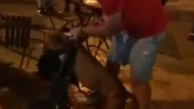 Aydın'da pitbull dehşeti! Sopalarla vurdular