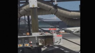 İstanbul Havalimanı'nı arılar bastı