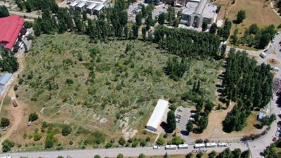 ODTÜ'deki ağaç katliamı böyle görüntülendi!