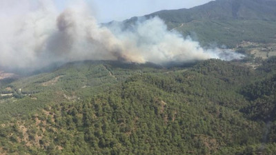 Muğla'daki yangında skandallar zinciri