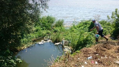 Batı Nil virüsünün yayılma nedeni ortaya çıktı