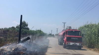 Antalya'daki makilik alanda yangın