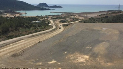 Akkuyu'da ağaç katliamı!