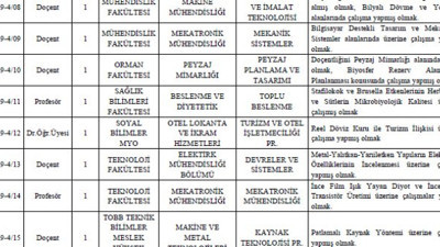 Karabük Üniversitesi'nden kişiye özel ilan!