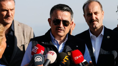 Pakdemirli'den THK uçağı açıklaması