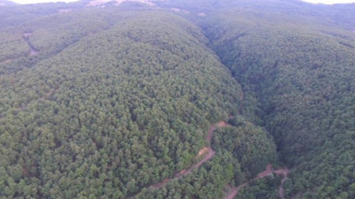 Günde 216 kilogram dinamit patlatılacak