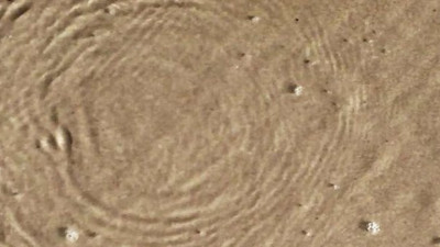 O teori 127 yıl sonra çürütüldü