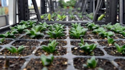 Ankara'da o dönem sona eriyor