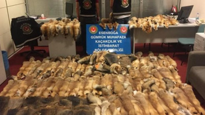 Esenboğa’da 128 hayvan postu ele geçirildi