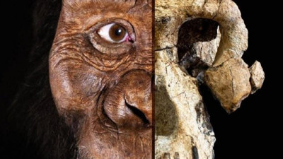 Hükümet medyasında “Evrim” propagandası