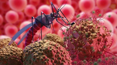 Batı Nil Virüsü kuzeye yayılıyor