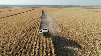 Çiftçiler tarımdan umudunu kesti!