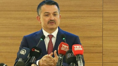 Pakdemirli, Rus yangın söndürme uçaklarını inceleyecek