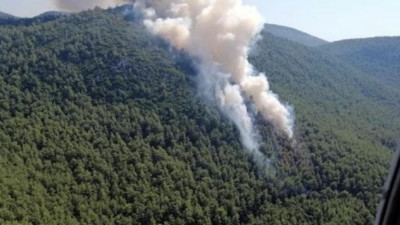 Milas'ta orman yangını (14 Eylül 2019)