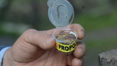 Sahte propolislere dikkat!