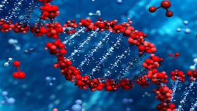 Akciğer kanseri hem dünyada hem de Türkiye'de artıyor