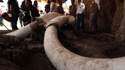 15 bin yıllık mamut tuzakları bulundu