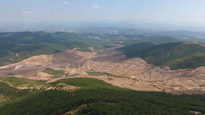 Yüz binlerce ağacı katletmişti: Kanadalı şirket, projeyi iptal etti