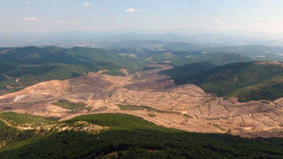 Kaz Dağları'nı katleden şirket sosyal medyada tepki aldı