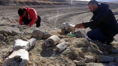 Kayseri'de 7.5 milyon yıllık yeni fosil bulundu