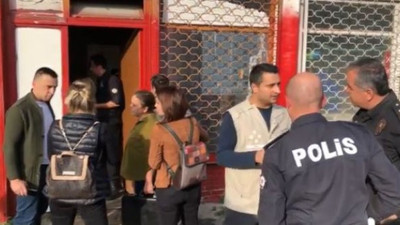 Et tesisine "kedi" baskını!