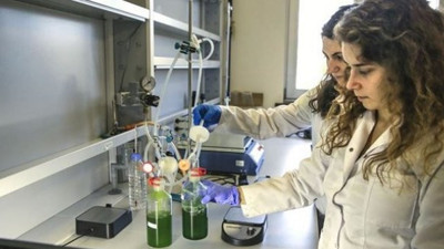 Yosun laboratuvarında uçaklar için jet yakıtı üretilecek