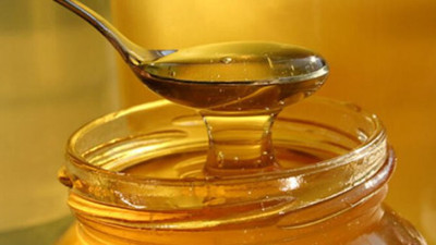 Sahte bal Meclis'ten toplatıldı