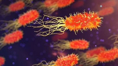 Bilim insanları yeni bir bakteri türü üretti!