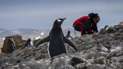 10 bin yıl önce yaşanan buzul erimeleri incelendi
