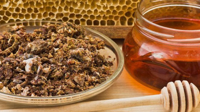 Propolis, antibiyotik ihtiyacını azaltıyor