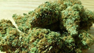 O ülkede esrar satışı artık yasal!