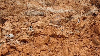 Aralarında gergedan ve mamutta var! Denizli'de bulundu