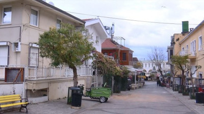 Hastalıklı atların sahiplerine suç duyurusu