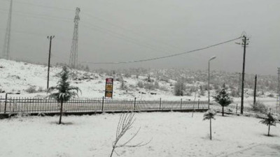 Sincik'te kar yağışı