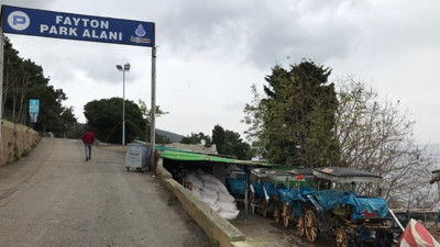 Adalar'da sağlık taraması yeniden başlatıldı