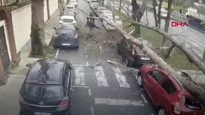 İstanbul'da korkutan anlar! Üzerlerine ağaç devrildi
