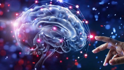 İnsan beyninde yeni tür bir sinyal keşfetti