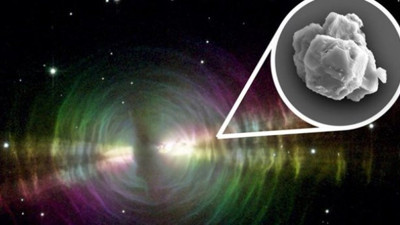 Dünya'nın en eskisi! 7 buçuk yıl yaşındı