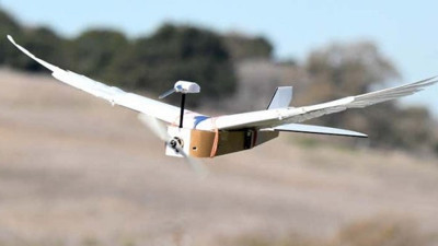 Gerçek güvercin tüyleriyle donatılmış robot tasarlandı